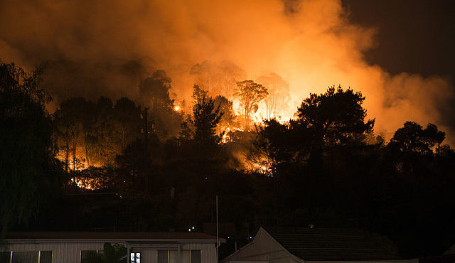 Solidarity with those affected by bush fires